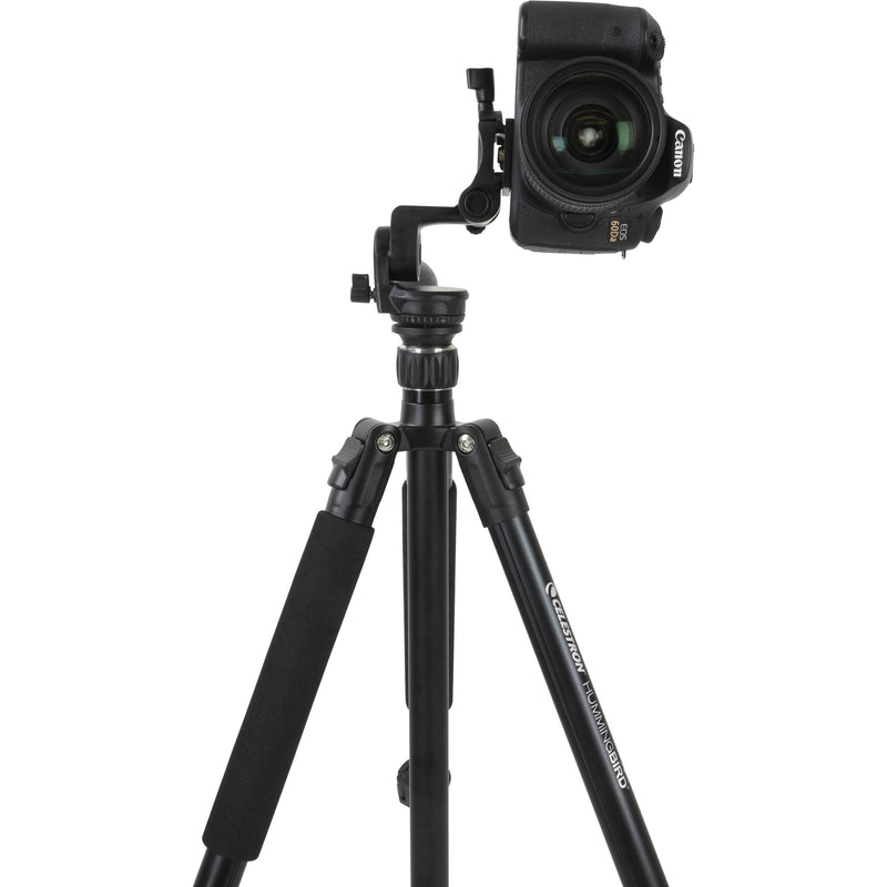 Celestron Hummingbird Compact Tripod with Pan/Tilt Head