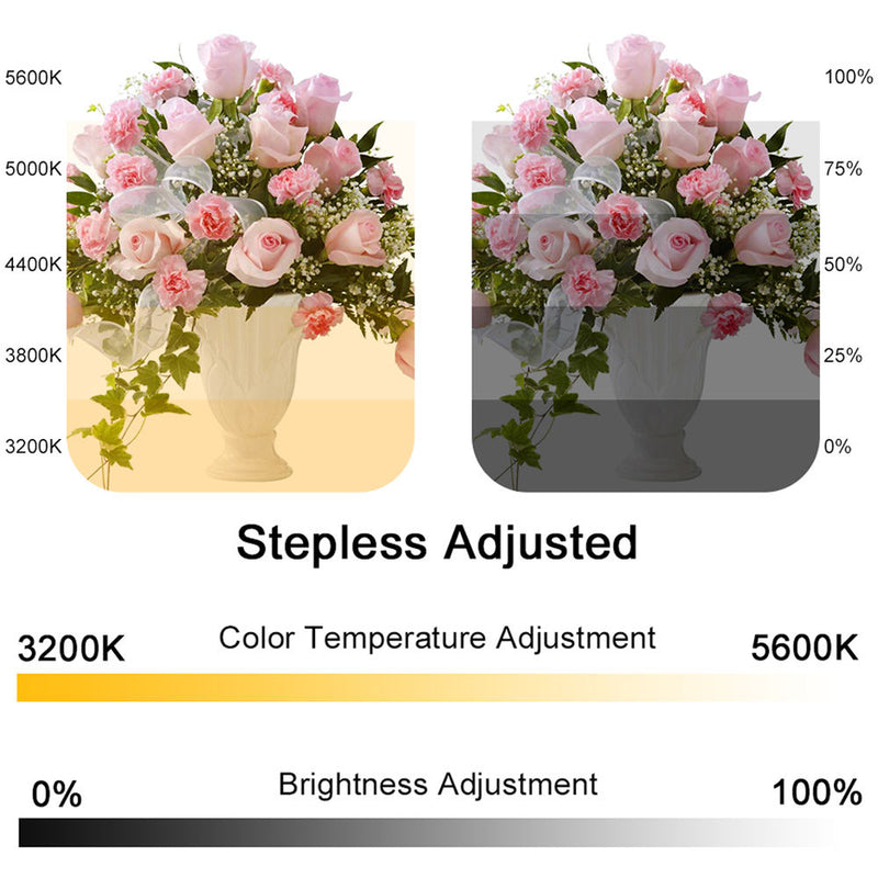 GVM 520LS-B Bi-Color LED 2-Panel Kit