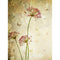 Click Props Backdrops Flower Distressed Backdrop (7 x 9.5')