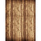 Click Props Backdrops Wood Plank Backdrop (7 x 9.5')