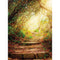 Click Props Backdrops Forest Steps Backdrop (7 x 9.5')