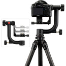 Robus RC-5558 Vantage Series 3 Carbon Fiber Tripod and Oben GH-30 Gimbal Head Kit