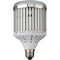 Raya LED Light Bulb (45W)