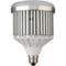 Raya LED Light Bulb (45W)