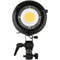 Genaray Endeavor ML-33K Daylight LED Monolight