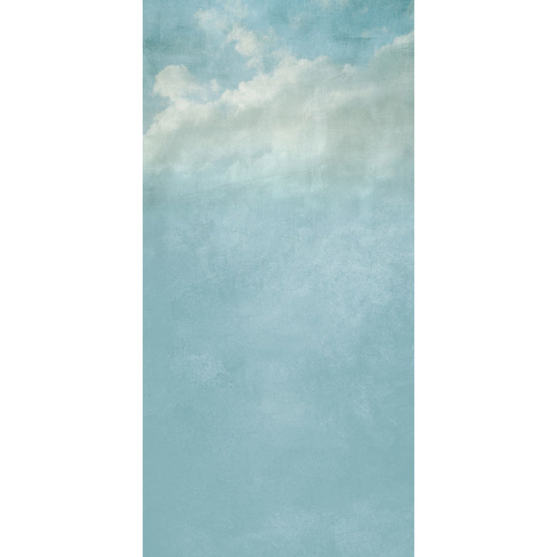 Click Props Backdrops Cloudy Day Backdrop (5 x 9.8')