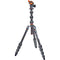 3 Legged Thing Albert 2.0 Tripod Kit with AirHed Pro Ball Head (Bronze and Blue)