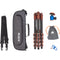 3 Legged Thing Albert 2.0 Tripod Kit with AirHed Pro Ball Head (Bronze and Blue)