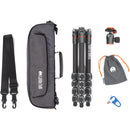 3 Legged Thing Albert 2.0 Tripod Kit with AirHed Pro Ball Head (Gray)