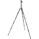 3 Legged Thing Albert 2.0 Tripod Kit with AirHed Pro Ball Head (Gray)