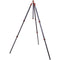 3 Legged Thing Winston 2.0 Tripod (Bronze)