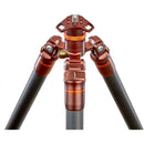3 Legged Thing Winston 2.0 Tripod (Bronze)