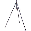 3 Legged Thing Winston 2.0 Tripod (Gray)