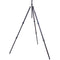 3 Legged Thing Winston 2.0 Tripod (Gray)