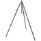 3 Legged Thing Winston 2.0 Tripod (Gray)