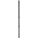 3 Legged Thing Winston 2.0 Tripod (Gray)