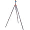 3 Legged Thing Winston 2.0 Tripod Kit with AirHed Pro Ball Head (Bronze and Blue)