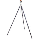 3 Legged Thing Winston 2.0 Tripod Kit with AirHed Pro Ball Head (Gray)