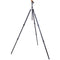 3 Legged Thing Winston 2.0 Tripod Kit with AirHed Pro Ball Head (Gray)