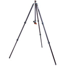 3 Legged Thing Winston 2.0 Tripod Kit with AirHed Pro Ball Head (Gray)
