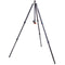 3 Legged Thing Winston 2.0 Tripod Kit with AirHed Pro Ball Head (Gray)