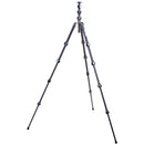 3 Legged Thing Albert 2.0 Tripod (Gray)