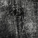 Click Props Backdrops Black White Crackle Backdrop (5 x 5')