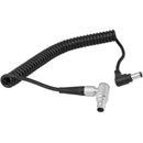 CAMVATE Coiled 2-Pin to 2.5mm DC Barrel Power Cable for Cameras/Accessories