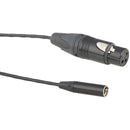 CAMVATE Mini 3Pin XLR Male To Full 3Pin XLR Female Cable For BMPCC 4K