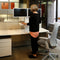 Ergotron Workfit-Sr, Dual Monitor STANDING DESK WS, White
