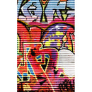 Click Props Backdrops Shutter Graffiti 2 Backdrop (5 x 8')