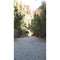 Click Props Backdrops Canyon Path Backdrop (7 x 13')