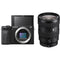 Sony Alpha a6600 Mirrorless Digital Camera (Body Only)