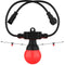 CHAUVET DJ Festoon 2 RGB EXT Bulb String Light Extender (49')