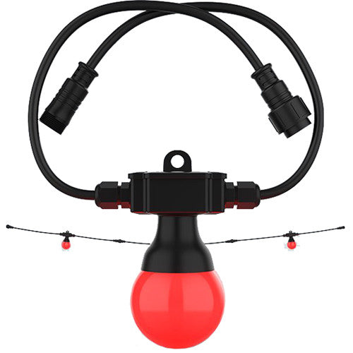 CHAUVET DJ Festoon 2 RGB EXT Bulb String Light Extender (49')