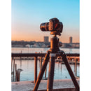 Robus RC-5558 Vantage Series 3 Carbon Fiber Tripod and Oben GH-30 Gimbal Head Kit