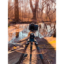 Robus RC-5558 Vantage Series 3 Carbon Fiber Tripod and Oben GH-30 Gimbal Head Kit