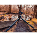 Robus RC-5558 Vantage Series 3 Carbon Fiber Tripod and Oben GH-30 Gimbal Head Kit