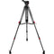 Cartoni Focus 10 Red Lock System (100mm Ball)