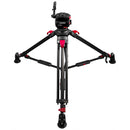 Cartoni Focus 10 Red Lock System (100mm Ball)
