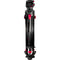 Cartoni Focus 10 Red Lock System (100mm Ball)