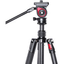 CAME-TV 801C Carbon Fiber Video Tripod with Fluid Head