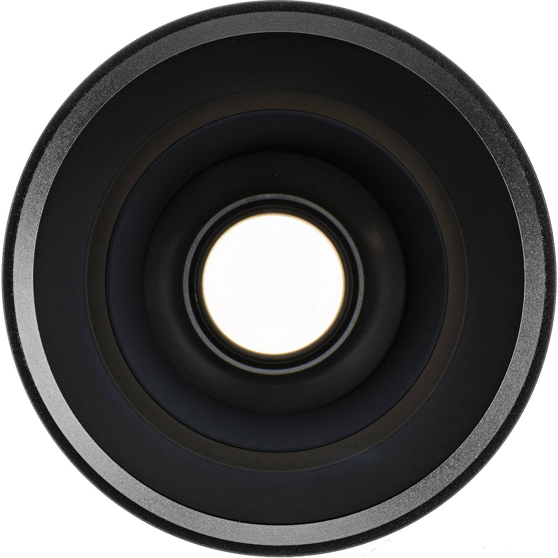 Raynox HD-3035PRO Semi-Fisheye Conversion Lens with One Adapter Ring (0.3x, 37mm)