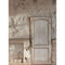 Click Props Backdrops Derelict Mansion Wall Shadows Backdrop (7 x 9.5')