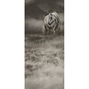 Click Props Backdrops 8.9 x 20' ProFabric Backdrop (Dark Horse)