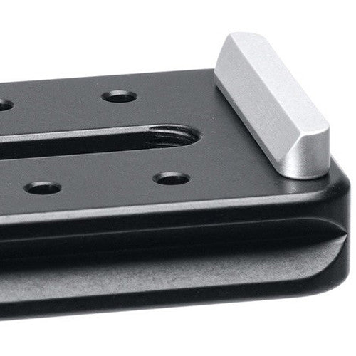 Kirk Universal Multi-Use Lens Plate with 2 Screws (4.5")