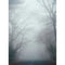 Click Props Backdrops Misty Road Backdrop (7 x 9.5')