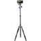Vanguard VEO 3 GO 265HCB Carbon Fiber Tripod/Monopod with BH-120 Ball Head, Smartphone Connector, and Bluetooth Remote