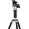 Sky-Watcher SolarQuest Motorized Alt-Azimuth Solar Telescope Mount