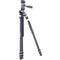 Vanguard VEO 3+ 263AP Aluminum Tripod with VEO 2 PH-38 Pan Head